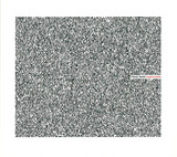 Ryoji Ikeda - Supercodex