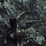 Ambareesh - Broomsticks & Broken Glass