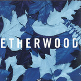 Etherwood - Blue Leaves