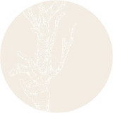 Skuli Sverrisson & Anthony Burr - The Hold It For Certain