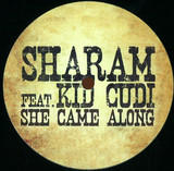 Sharam Feat. Kid Cudi - She Came Along *1*