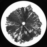 Monkey Safari - Woo / Verso