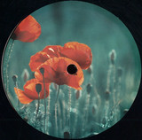 Cinthie - House Rhythms Ep