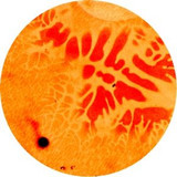 Ponty Mython - Universe Of Pops