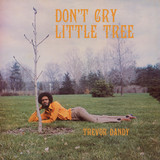 Trevor Dandy - Don't Cry Little Tree