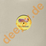 Disco Darlings - Its A Privilege