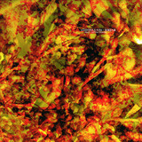 Argy / Lee Van Dowski - Ethiopias Rise, Bimbam