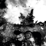 P V T - PALESTINE VAINIO THIELEMANS