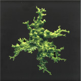 Echonomist - Night Versions EP