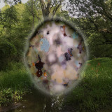 Infant - Face First In The Entangled