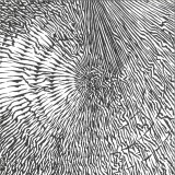 Huren & Gaja - Ride or Die