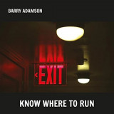 Barry Adamson - Know Where To Run LP