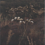 The Shaolin Afronauts - The Fundamental Nature of Being, Part Two