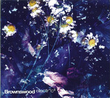 Gilles Peterson - Brownswood Electric 3