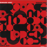 Reinhard Voigt - Robson Ponte Remixe 2025