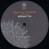 Walking Shadow - Without You