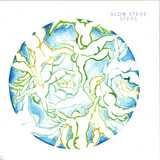 Slow Steve - Steps