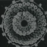 October - Black Body Radiation