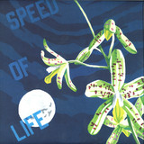K15 - Speed Of Life