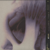 Jock Club - Morphism