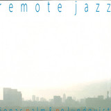 JONAS PALM & P-O LUNDQUIST - Remote Jazz