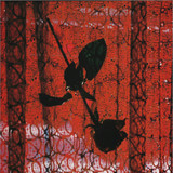 Studio Mule - Visible Cloaks Remix