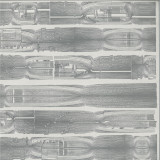 Carcass Identity - Carcass Identity