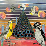 JAIMIE BRANCH - FLY OR DIE FLY OR DIE FLY OR DIE