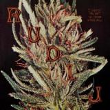 RUDI J - I GUESS I'M NOT IN TUNE AFTER ALL