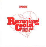 Swindle Ft. Terri Walker - Running Cold (roni Size Remix)