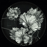 Pagalve - Frozen Tears