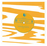 Ptaki - Jak Ptaki / Ponure Miasto 7"