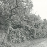 Seth Schwarz - Jabel E.p.