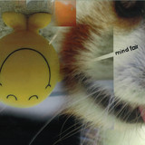Mind Fair - Mind Fair (lp)