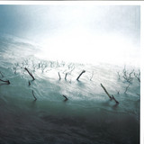 Sefton - Stranded In Passion