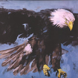 Aquarius - Soulquencies