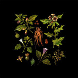Sam McLoughlin - Folklore of Plants Volume Two - The Venefic Garden