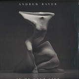 Andrew Bayer - In My Last Life