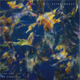 ASYNCRONOUS - The Art Of Fighting In A Dream