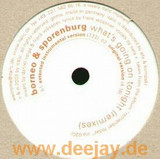Borneo & Sporenburg - What's Going On
