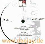 Diva - What I Want
