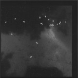 Tribe Of Colin - Age Of Aquarius