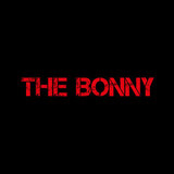 Gerry Cinnamon - The Bonny