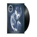 SUN DONT SHINE - FROM BIRTH TO DEATH