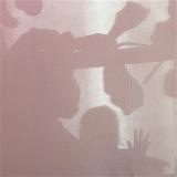 NICOLE MITCHELL & JOE WESTERLUND - WRITTEN IN THE UNIVERSE
