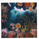 Mark Barrott - Sketches From An Island 3