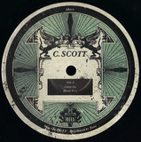 C Scott - The Pittsburgh Diaries