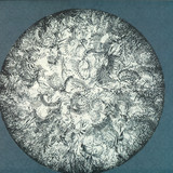 Shedbug - Afterglow Ep