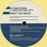 Dj Santorini - What You Mean