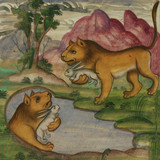 Not Waving & Dark Mark - Downwelling